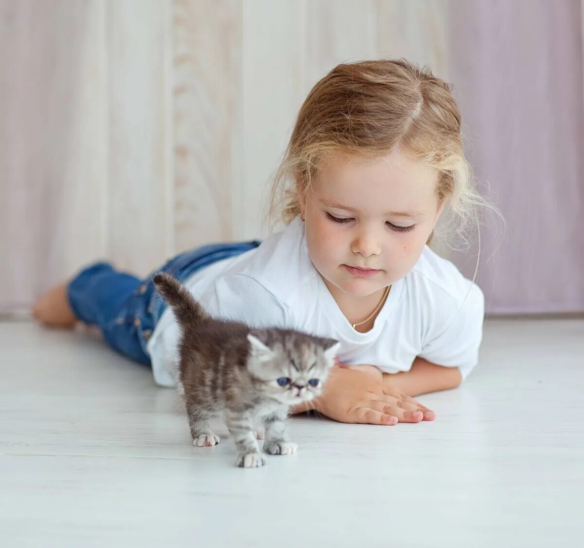 Породы кошек которые любят детей. Котёнок-ребёнок. кошка для детей. для малышей (котенок). маленький котенок для детей.