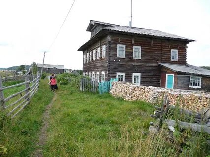 Золотица