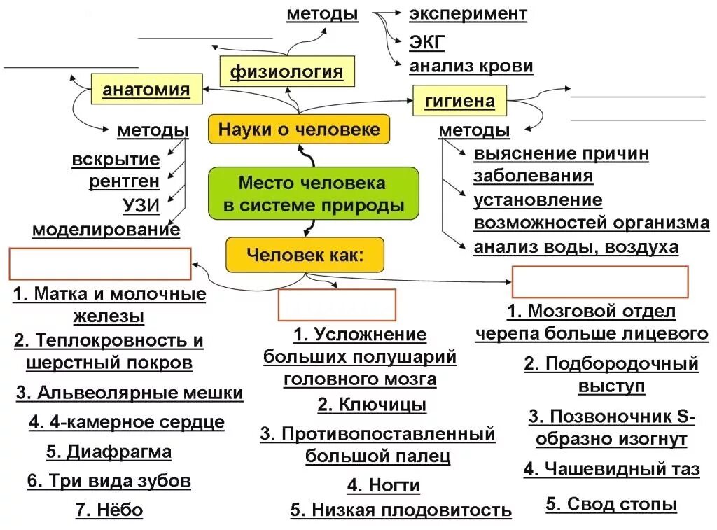 Мир списаний. Опорные конспекты по биологии. Конспекты по биологии человек. Опорный конспект по биологии 5 класс. Опорный конспект биология 8 класс.