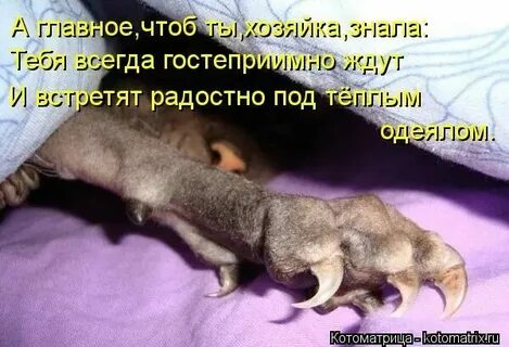 Ну сейчас собралась
