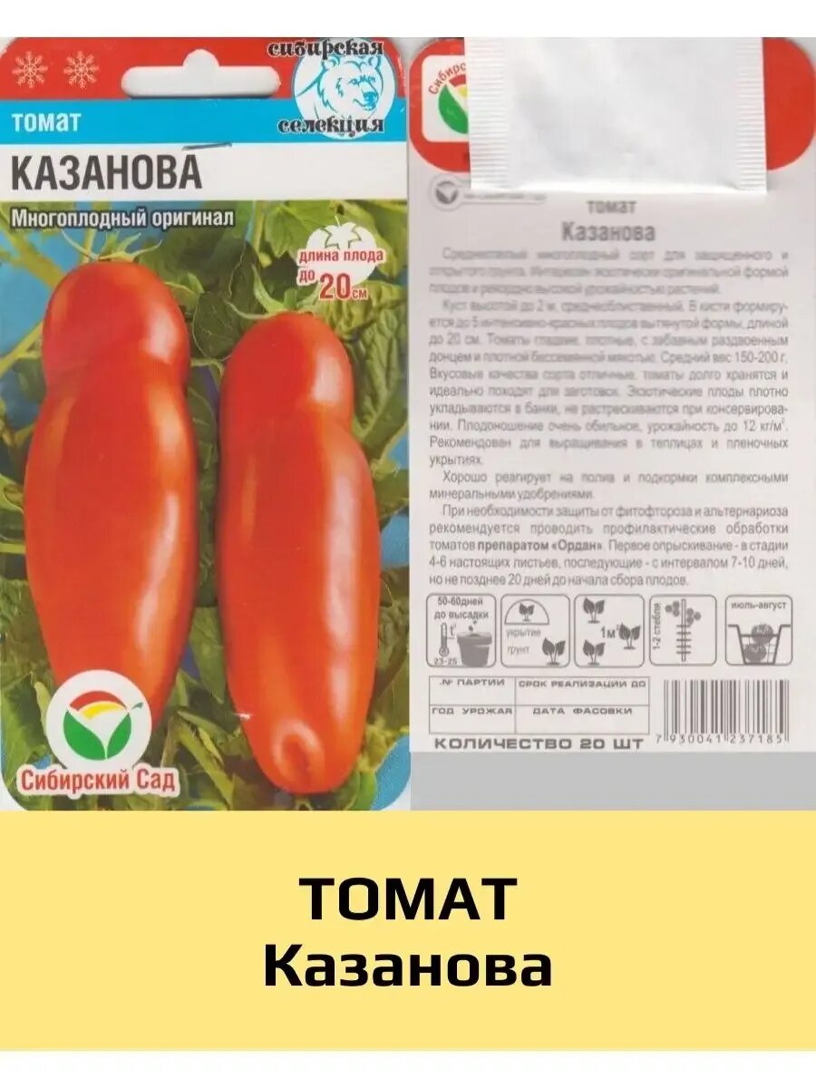Семена помидор казанова. Томаты казанова отзывы фото урожайность. Томаты казанова отзывы фото урожайность. Томат казанова сибирский сад. Семена томат казанова.