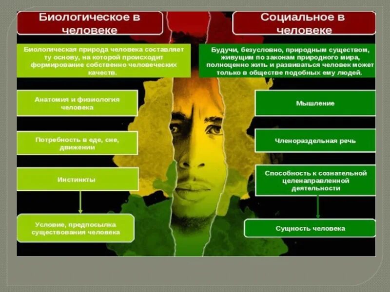 Человек является социальным человеком. Биологическое социальное и психическое в человеке. Биологические и социальные черты человека. Биологическая природа человека. Биологические и социальные качества человека.