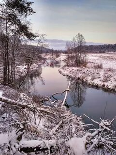 Погода лучки