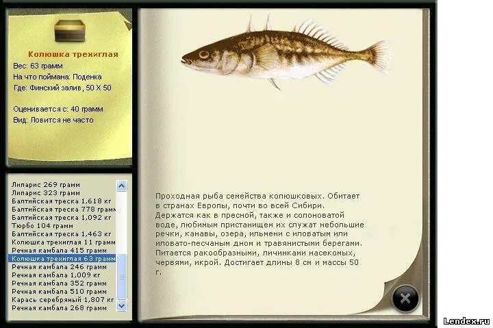 Амурский сом реальная рыбалка. Амурский сом реальная рыбалка. Амурский сом реальная рыбалка. Русская рыбалка 3 подкаменная тунгуска колюшка трехиглая. Сом амурский рр4.