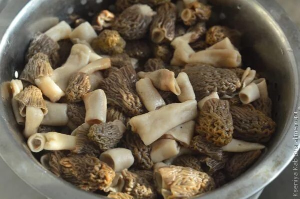Как приготовить сморчки грибы вкусно на сковороде. Грибы сморчки жареные. грибы сморчки приготовление. приготовить грибы сморчки. сморчки на гриле.