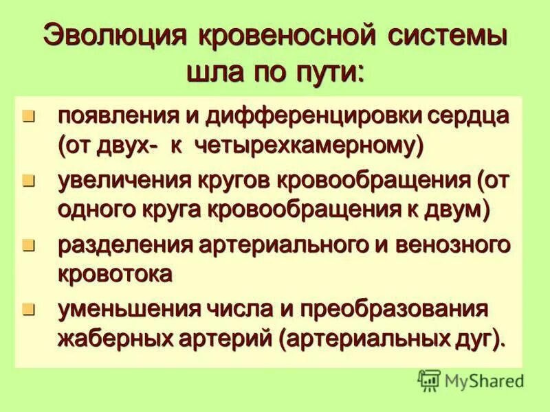 Эволюция систем реферат. Эволюция систем реферат