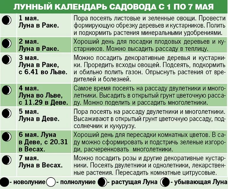 Продажа на убывающую луну. Посадка растений на убывающую луну. Какие овощи сажать на убывающей Луне. Что можно сеять на растущую луну. Можно ли пересаживать растения в полнолуние.