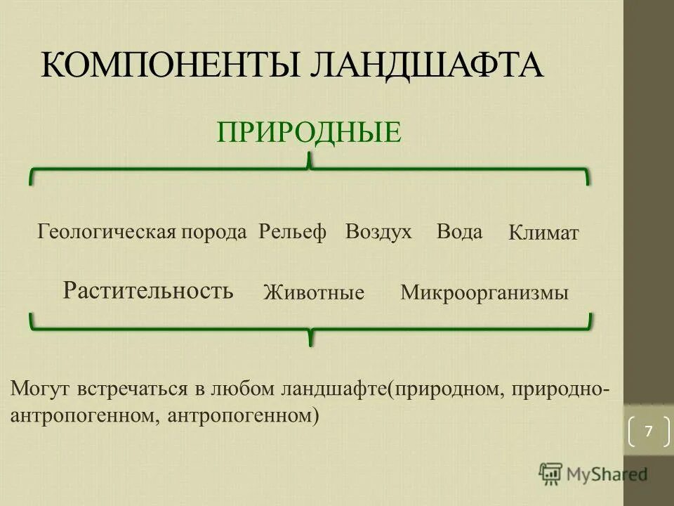 Компоненты природного ландшафта