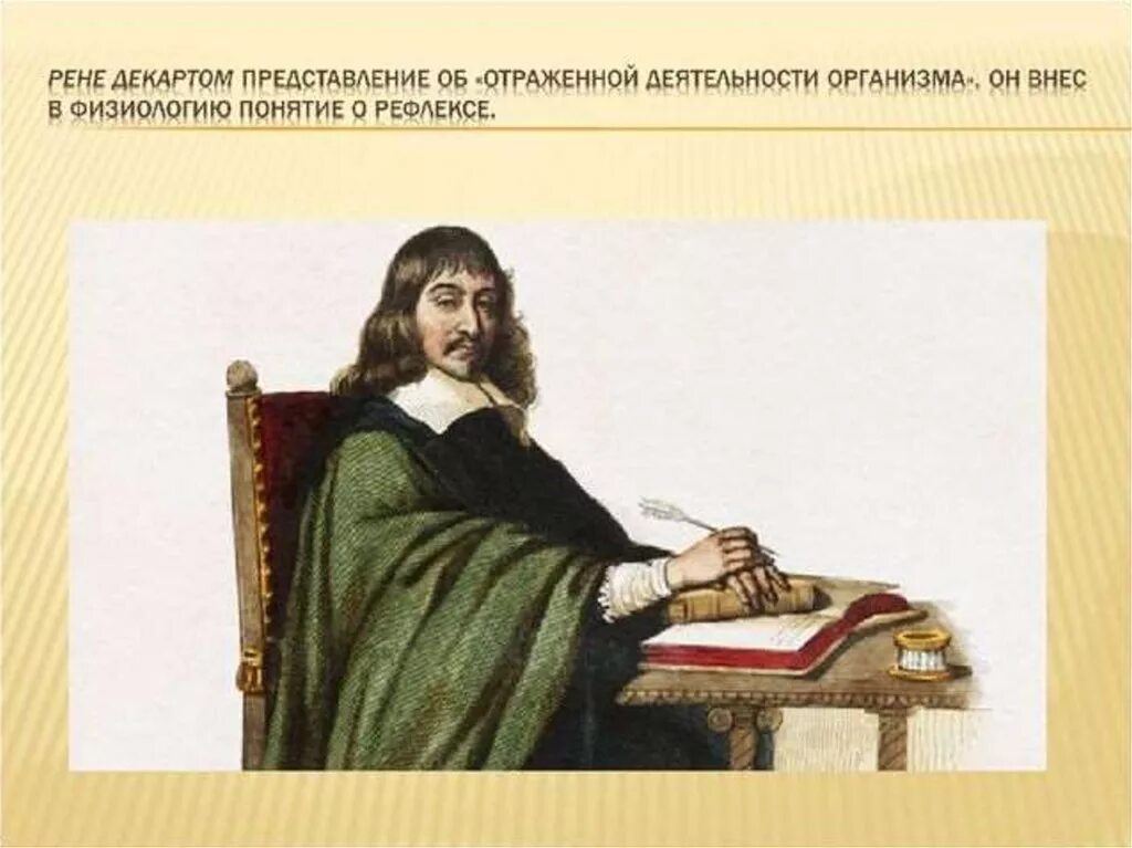 Идеи рена