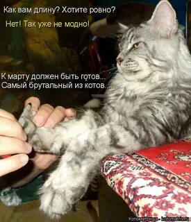 Хочу ровно