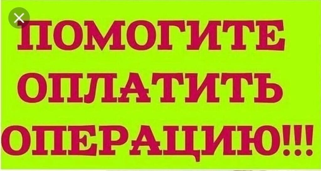 Помогите оплатить операцию. Нужна помощь в оплате операции. Помогите в оплате операции котенку. Помогите оплатить операцию картинки. Сбор средств на операцию