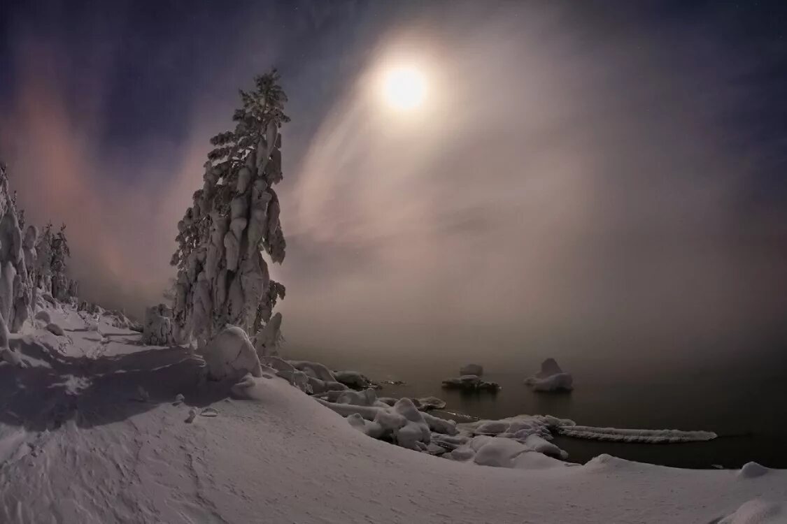 утесы на севере диком. утесы на севере диком. утесы на севере диком. сосна лермонтова. утесы на севере диком.