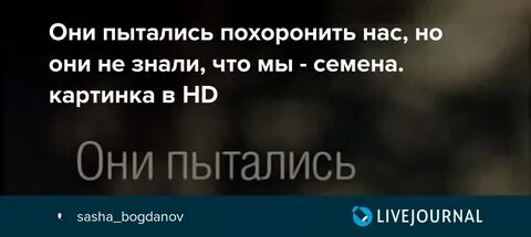 Они хотели похоронить нас