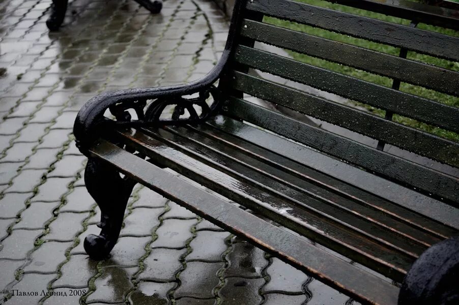летний дождь в парке. скамейка дождь. осенний парк. парк дождь. скамейка в парке.