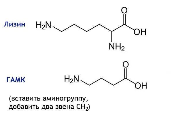 Гамма аминомасляной кислоты что это такое. Аминомасляная кислота формула. глутамат в гамма аминомасляная кислота. гамма-аминомасляная кислота синтез. синтез гамма аминомасляной кислоты.