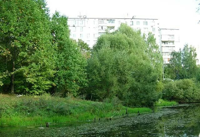 Ясенево инессы арманд. Улица Инессы Арманд. Инессы Арманд 4к1. Ясенево улица Инессы Арманд дом 7. Улица Инессы Арманд 4к1 Пушкино.