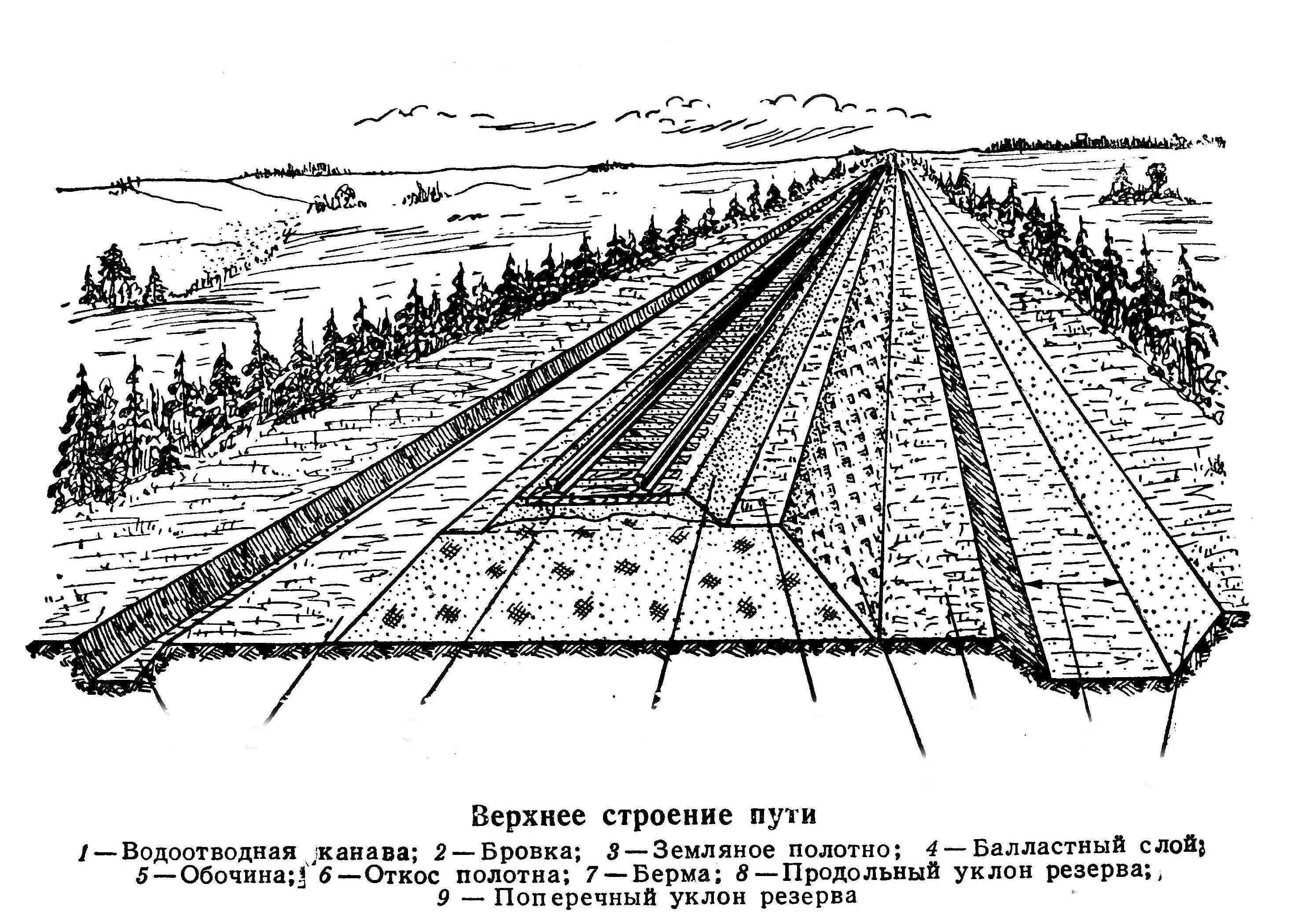 Строение земляного полотна ЖД пути. Земляное полотно железнодорожного пути. Строение ж.д. пути. Насыпь земляного полотна железной дороги.