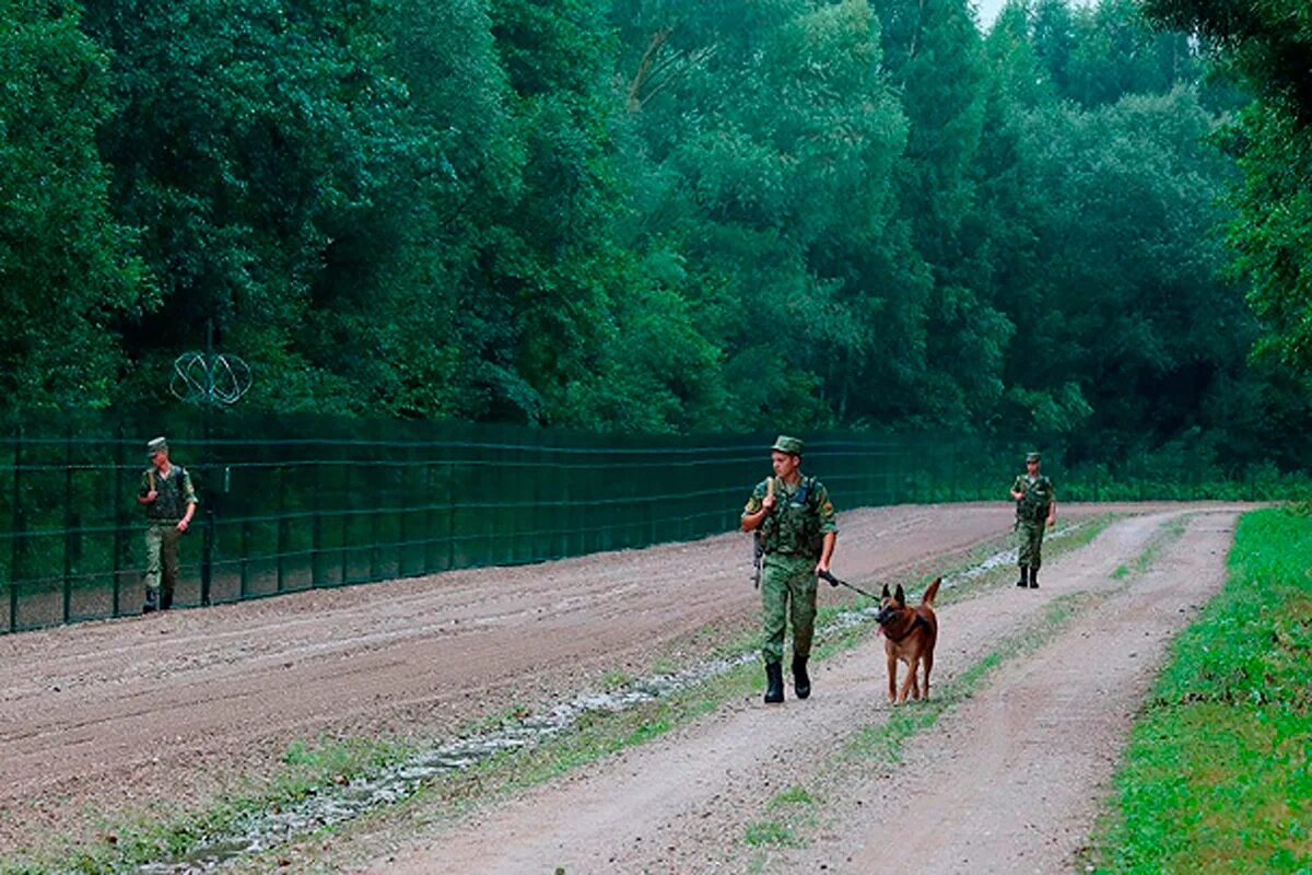 Можно ли ехать в белоруссию. Пограничники на границе с Белоруссией. Пограничники Литвы. Украина Беларусь пограничники. Белорусские пограничники на границе с Украиной.