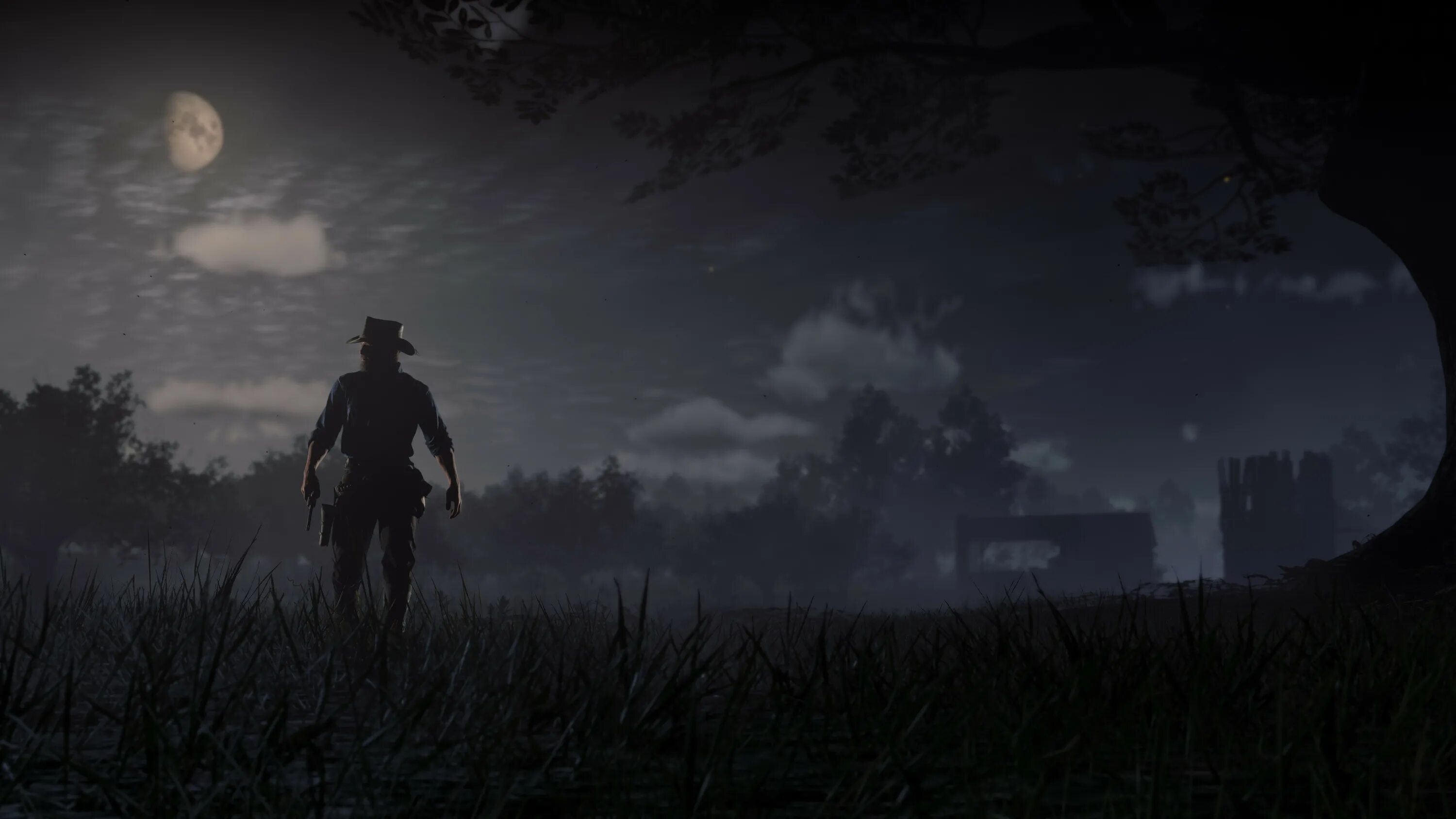 Rdr 2 graphic
