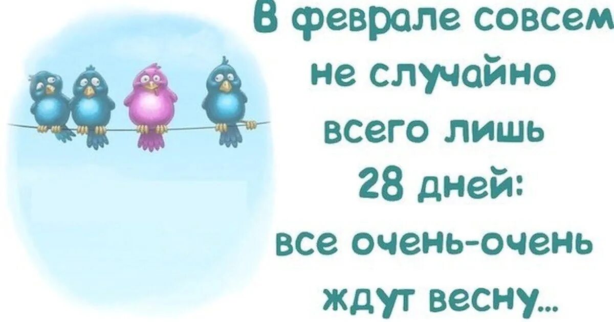 Про весну со смыслом. Статусы про весну прикольные. Смешные фразы о феврале. Смешные цитаты про весну.