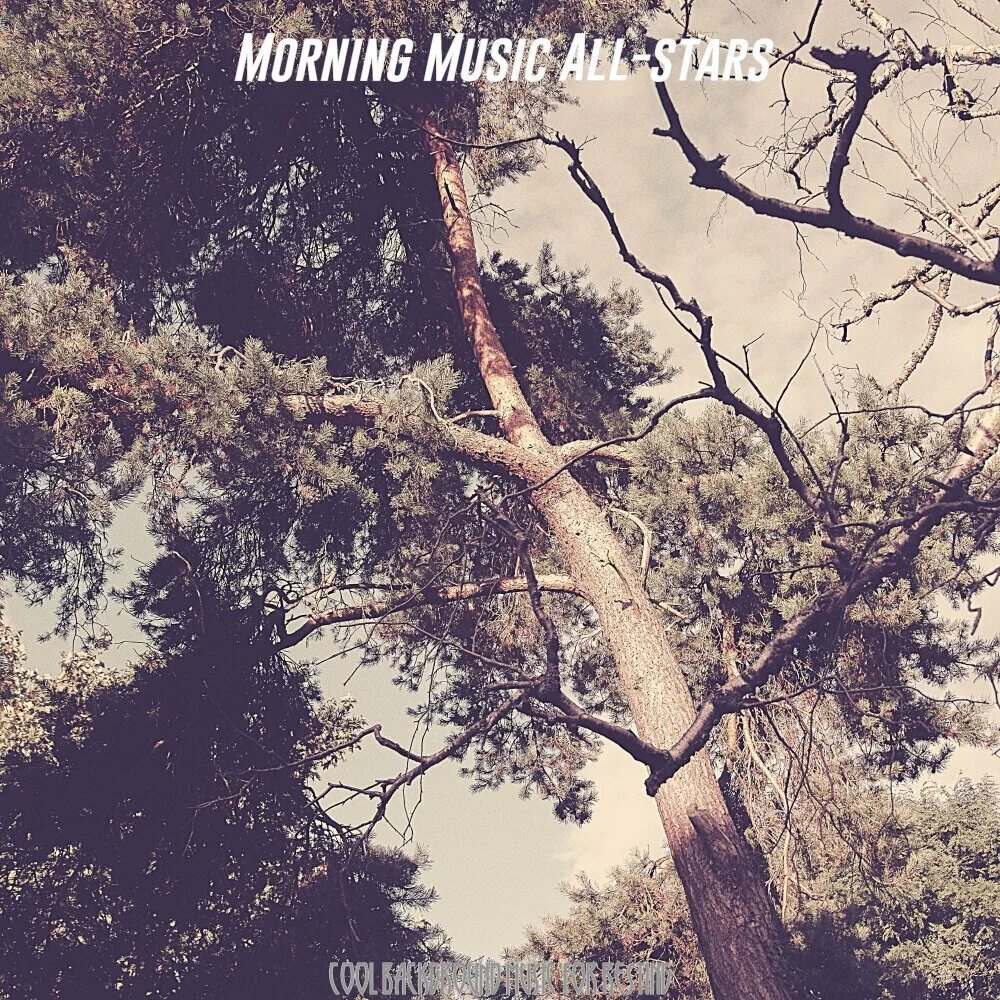 Morning слушать. Утренние танцы. Музыка на утро слушать. Музыка на утро слушать. Утренняя музыка.