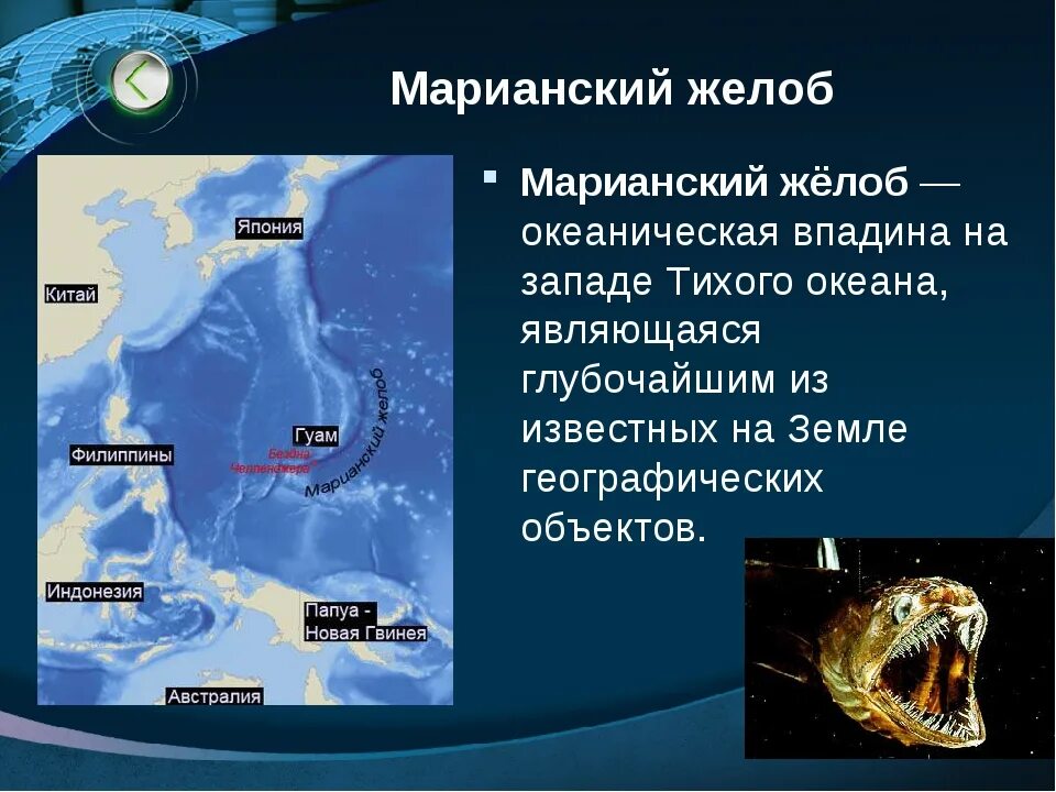Определите как расположен океан. Марианский жёлоб глубоководный желоб. Желоб Тихого океана Марианский желоб. Глубина Марианского желоба в тихом океане. Марианская впадина на карте.