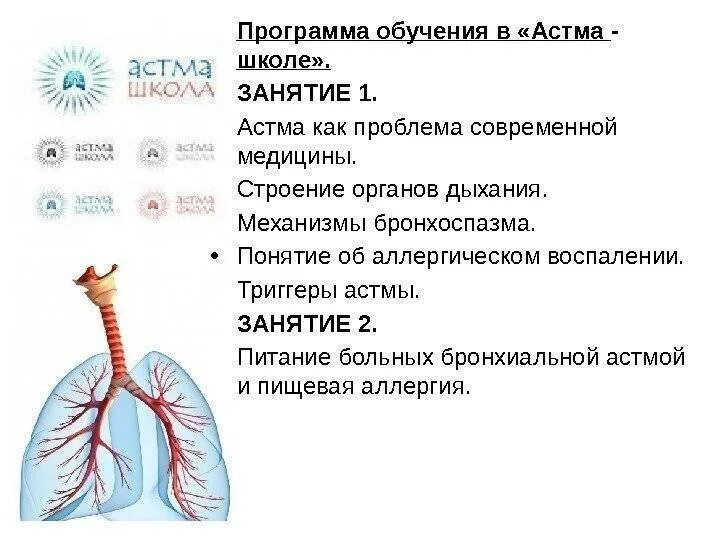 Памятка бронхиальная астма. Триггеры бронхиальной астмы. Бронхит астма. Профилактика бронхиальной астмы у детей.