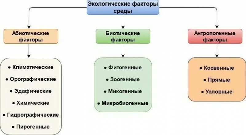 Окружающая человека среда и ее компоненты. Экологические факторы это в биологии. Биотические факторы среды 5 класс биология. Схема факторы влияющие на растительность. Факторы живой среды.