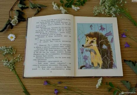 Отзывы добрые истории