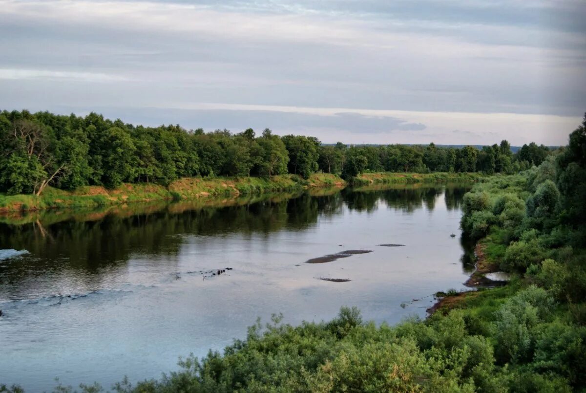 Сколько рек клязьма. Река Клязьма Орехово-Зуево. Пойма реки Клязьмы. Река Нерль Клязьминская.
