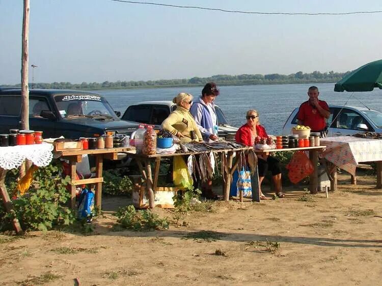 Погода с никольское енотаевского района в астраханской