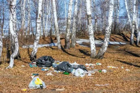 Погода в увильдах на 14 дней