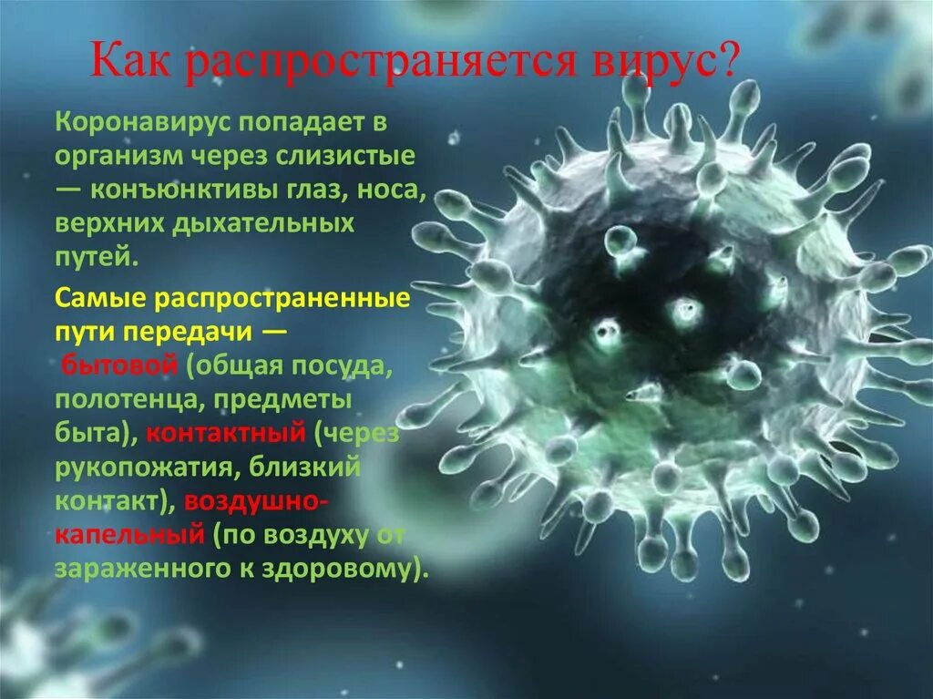 Как распространяется вирус. Как распростроняетсявирус. Распространение вирусов в организме. Как могут распространяться вирусы?. Пройдет ли вирус