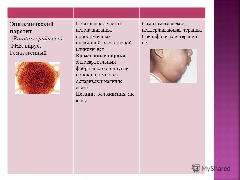эпидемический паротит этапы. эпидемический паротит этапы. эпидемиологический паротит патогенез. эпид паротит патогенез. эпидемический паротит симптомы.