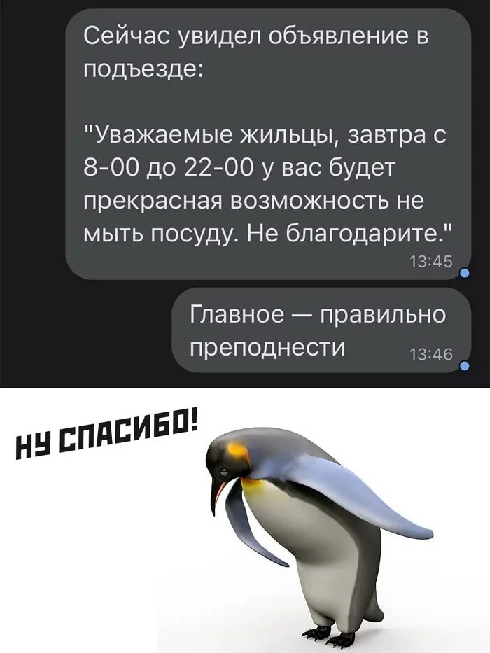 Мем пингвин спасибо. Пингвин кланяется.