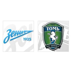 Тики томи