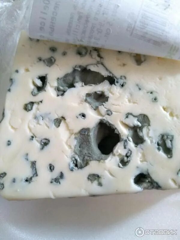 Почему сыр с плесенью. Сыр с плесенью. Сыры с плесенью. Сыр с синей плесенью. Сыр с прожилками.
