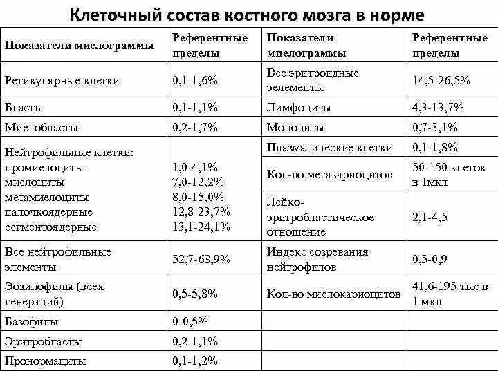 Результаты костного мозга. Пунктат костного мозга норма. Нормальный анализ костного мозга. Норма бластных клеток в костном мозге у детей. Показатели анализа костного мозга норма.