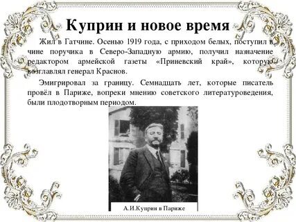 Куприн отчество