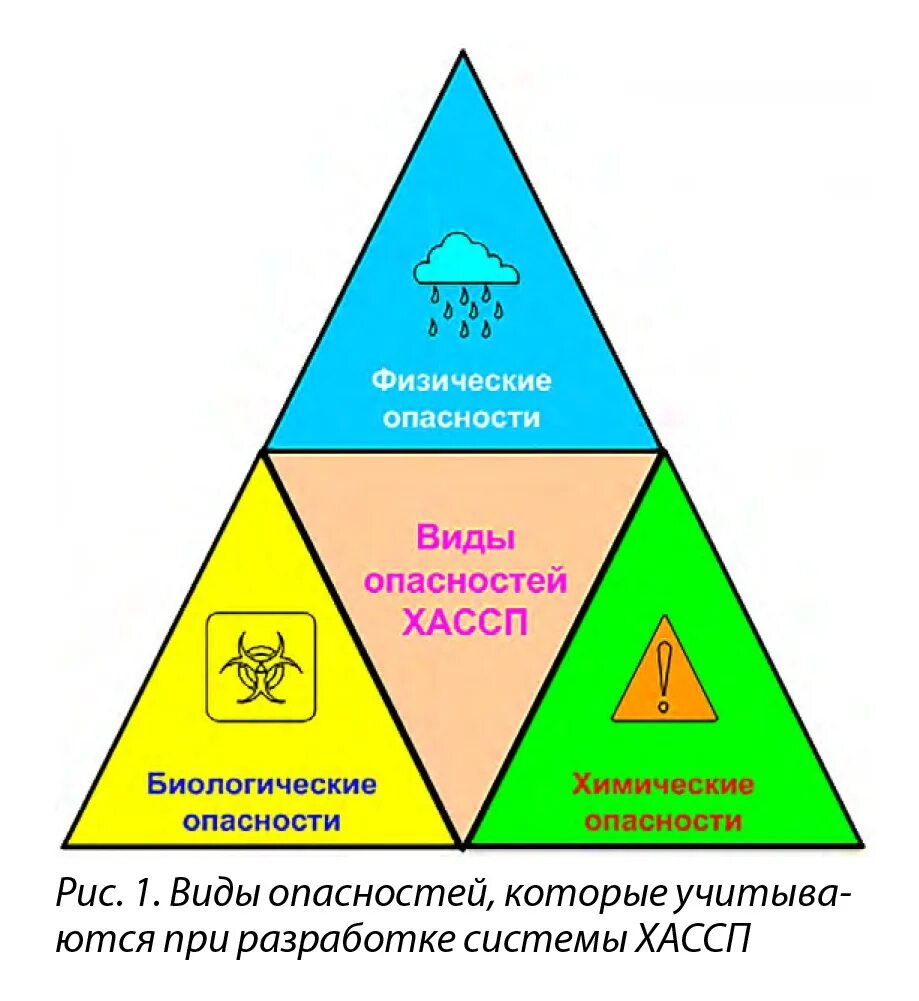 Управление пищевой безопасностью. Виды опасностей ХАССП. Виды биологических опасностей. Биологические риски ХАССП. Биологическая опасность ХАССП.