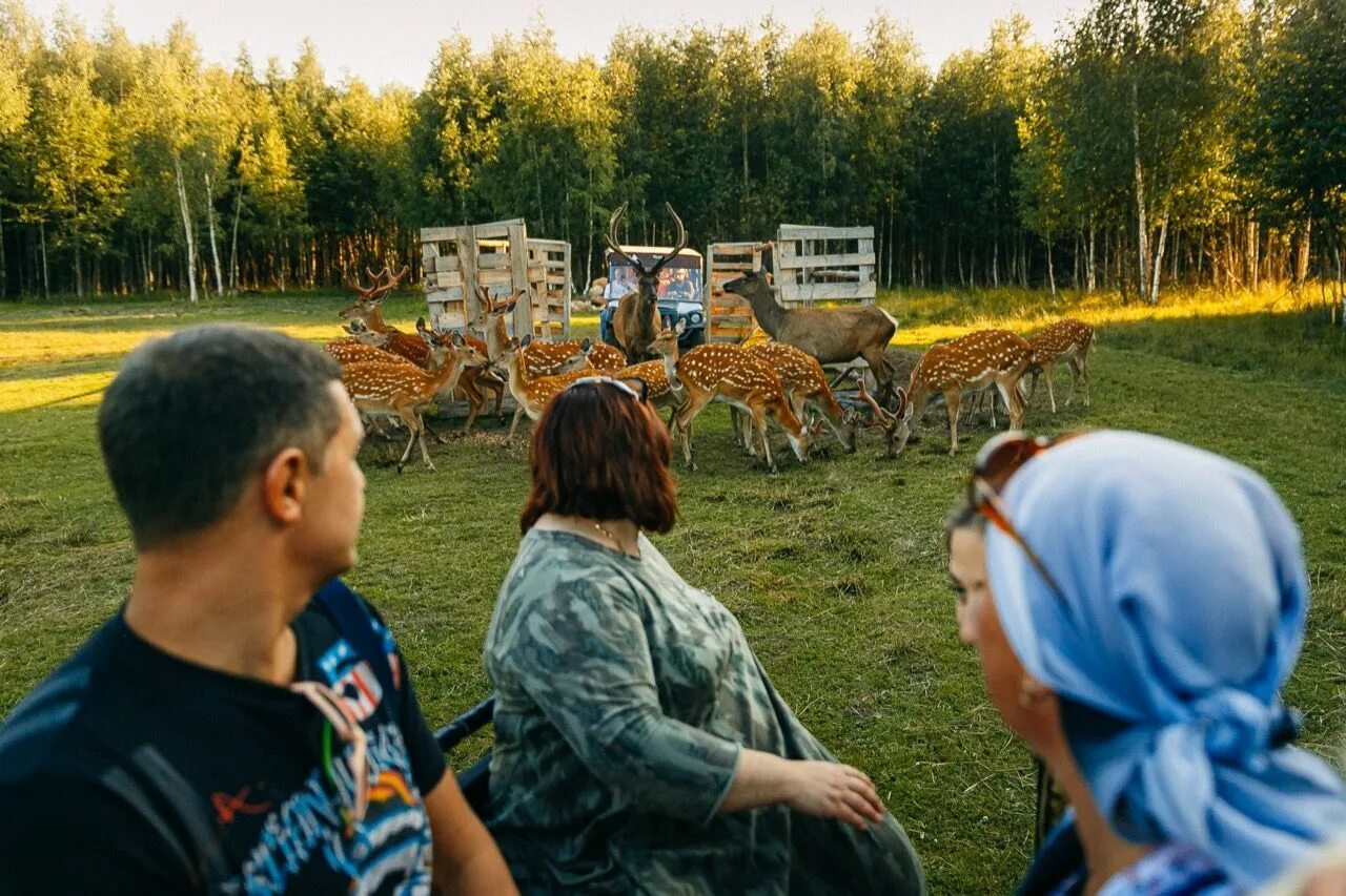 Оленья ферма судимир. Оленья ферма Судимиръ деревня Судимирка. Оленья ферма Тверь Судимирка. Усадьба Судимир Тверь Оленья ферма. Судимирка в Тверской области Оленья ферма.