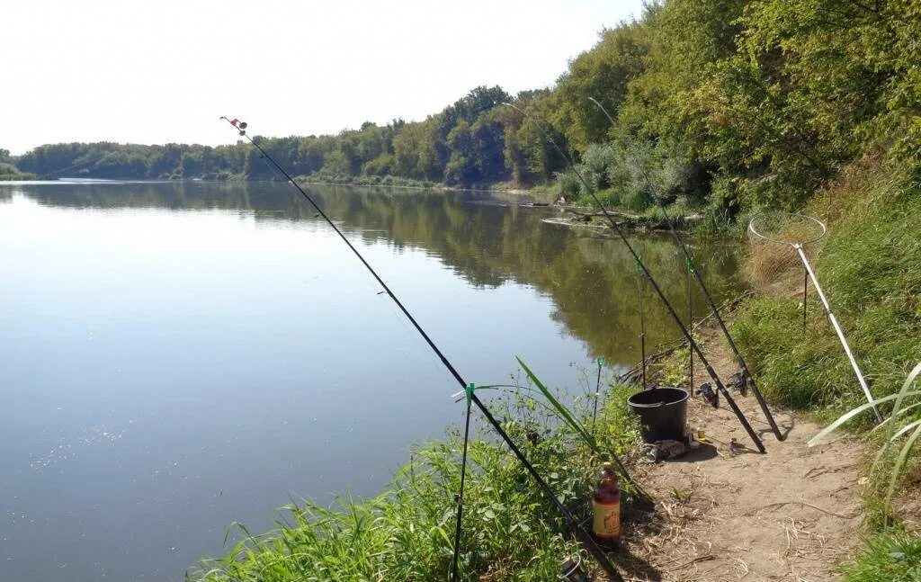Где порыбачить на реке. Рыболовные места. Красивые места для рыбалки. Рыбалка летом. Рыбалка на Дону.