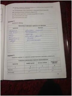 Биология 7 класс рабочая тетрадь кучменко