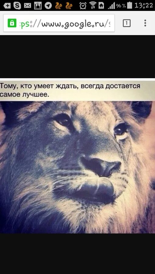Умеющему ждать достается лучшее. Тот кто умеет ждать достается самое лучшее. тому кто умеет ждать достается самое. тому кто умеет ждать всегда достается самое лучшее. кто долго ждеттгму дастантся самое лучшее.