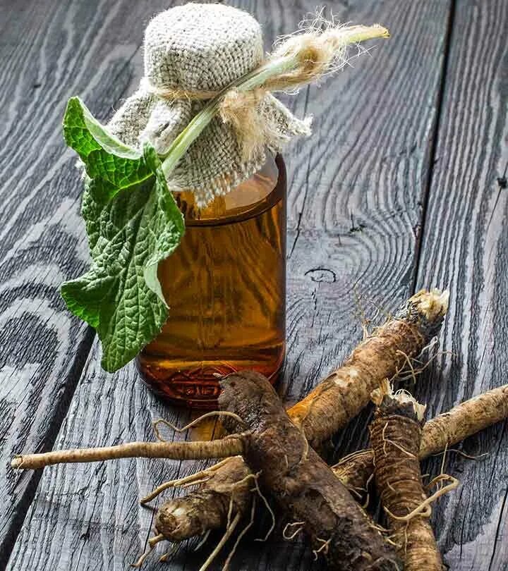 Лопух для печени. Burdock. Лопух корень. Корень лопуха Бурдок. Корень репейника.