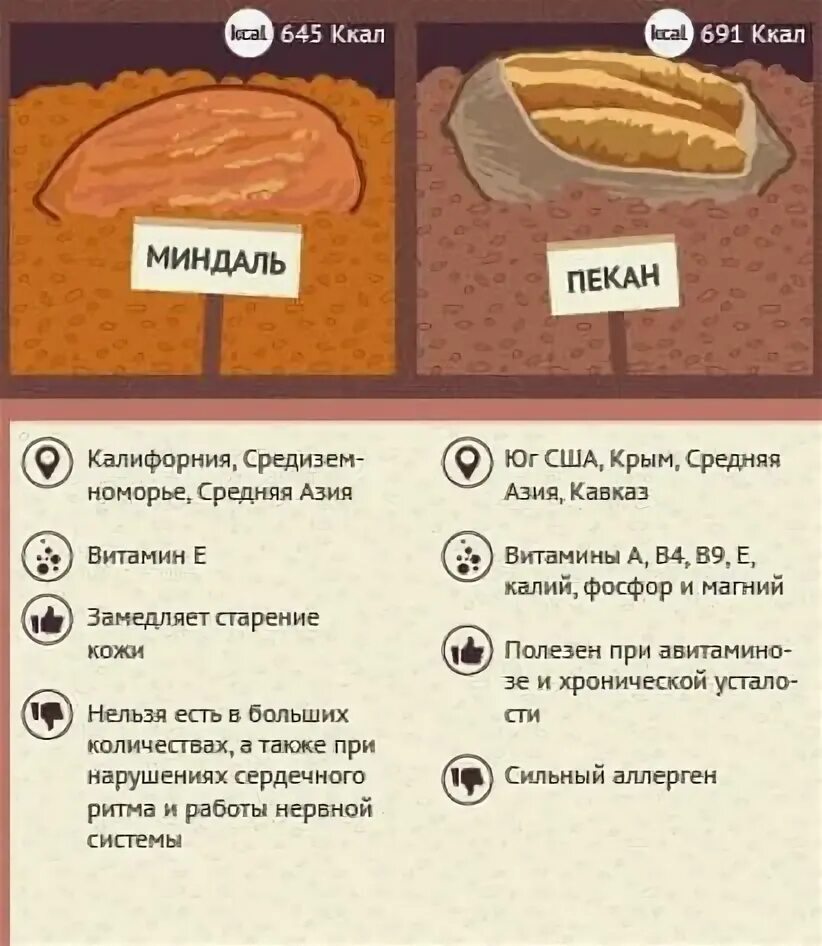 Орех пекан польза для женщин. Орех пекан польза. Пекан польза. Польза орехов пекан. Орех пекан польза и вред.