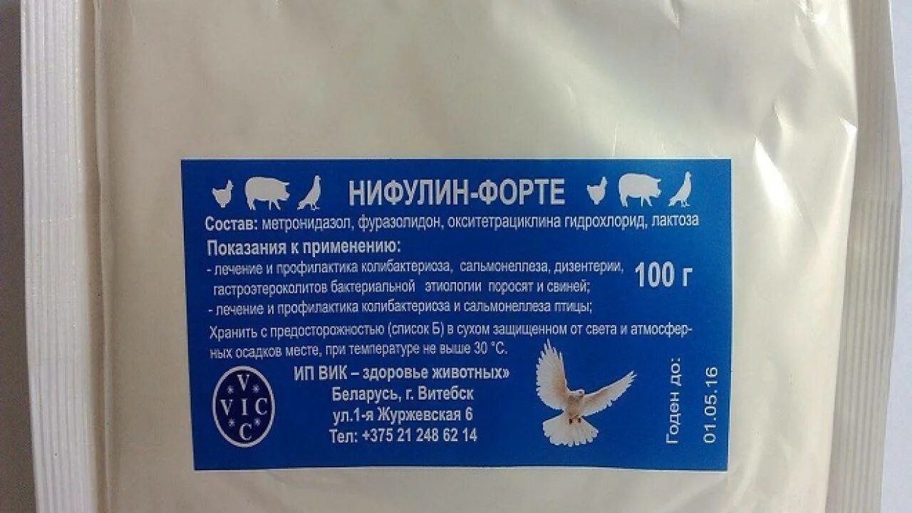 Форте инструкция по применению в ветеринарии. Нифулин форте для голубей. Нифулин форте для поросят. Лекарство для голубей нифулин форте. Препарат Родотиум для голубей.