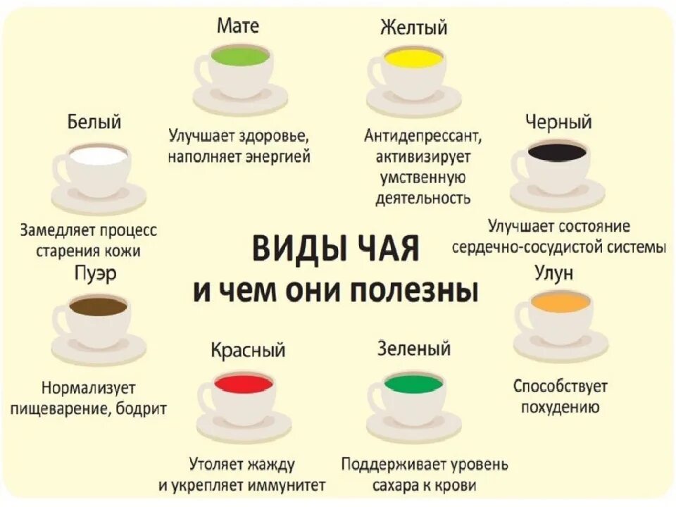 Виды чая. Основные виды чая. Чача виды. Чай видцы. Как правильно заваривать и пить зеленый чай