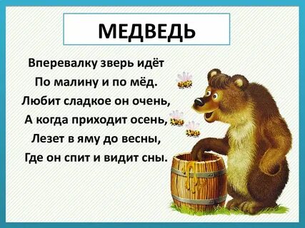 Бурый медведь загадка