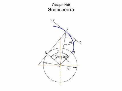 Эвольвента